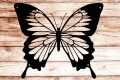 Ozdoba Ścienna Swallowtail Butterfly Czarny Struktura