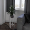Kwietnik stojący na rośliny Poppy