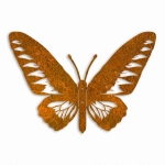 Dekor Motyl Rajski 3D [L] 44x30cm - Zewnętrzna dekoracja ścienna